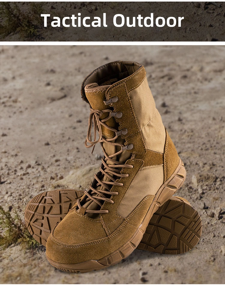 Factory Wholesale Custom Outdoor Low Top Tactical Men Desert Anti Slip Wear Resistant Hiking Climbing Safety 