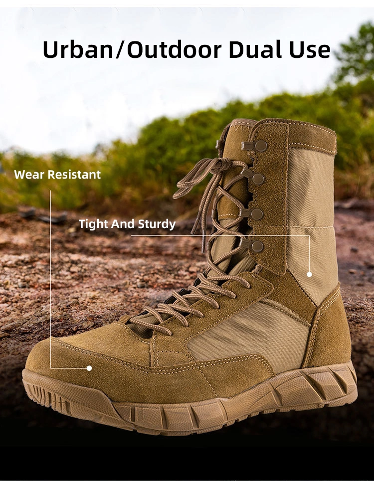 Factory Wholesale Custom Outdoor Low Top Tactical Men Desert Anti Slip Wear Resistant Hiking Climbing Safety 